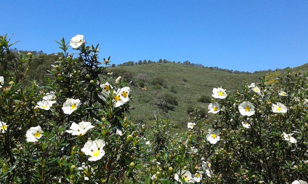 Monte Da Vilarinha Carrapateira Zewnętrze zdjęcie